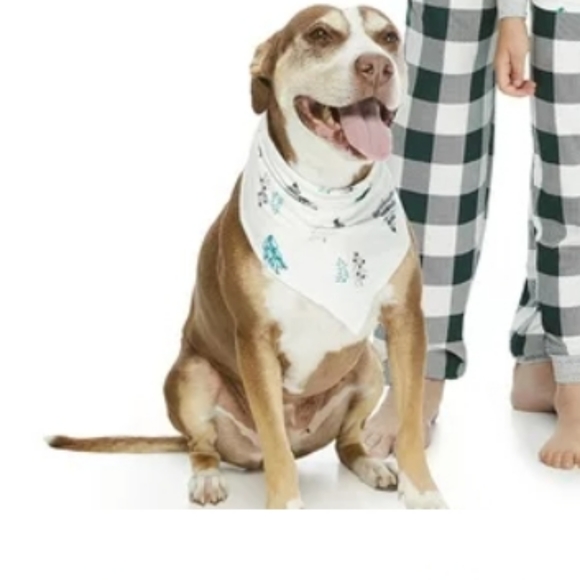 Family Christmas Pajamas. 2 men xl and m, women's m and a dog scarf available - Picture 4 of 4